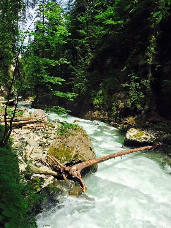 Hotel Garni Regina Oberstdorf Exteriör bild